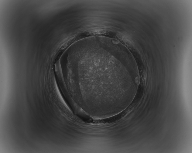 X0000084530746200703021420