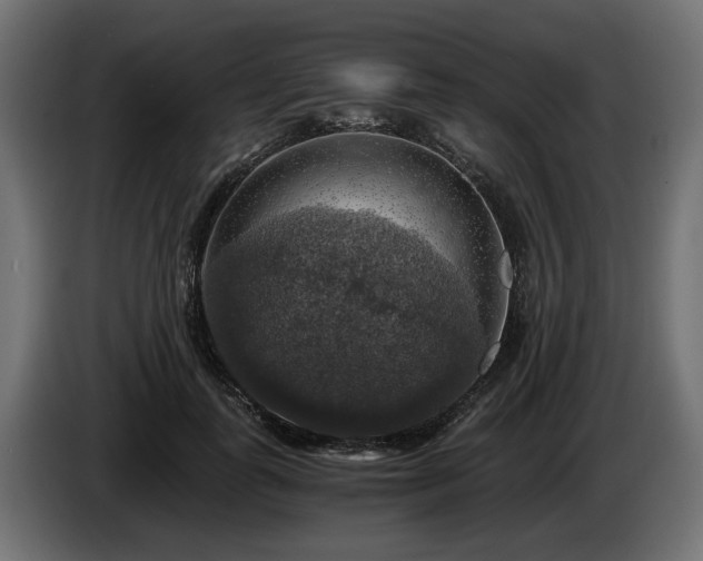 X0000084530747200703021420