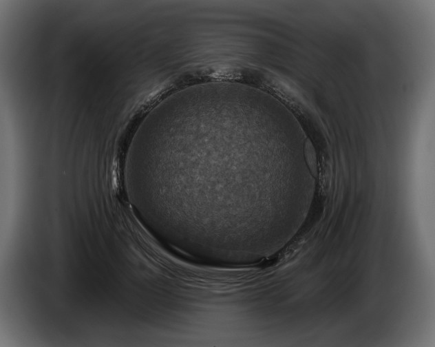 X0000084530748200703021420