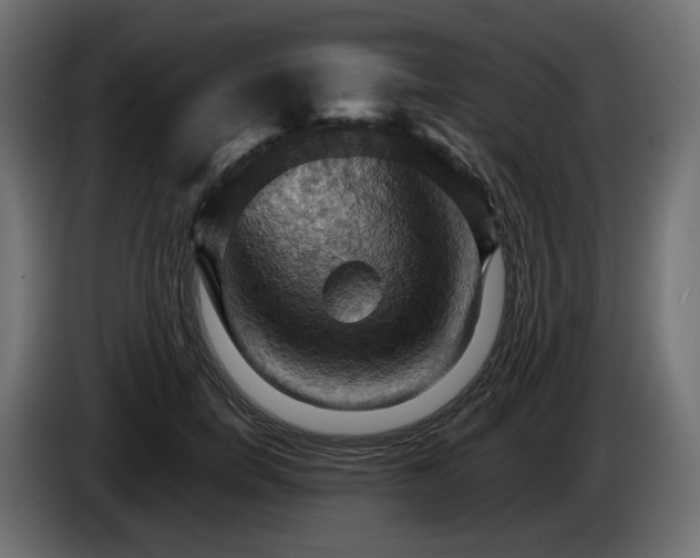 X0000084530750200703021420
