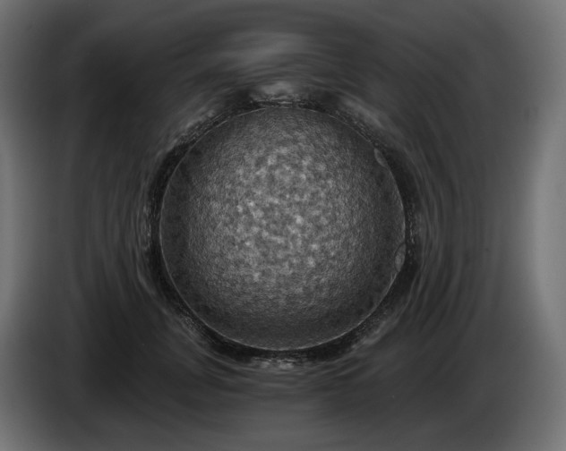 X0000084530751200703021420