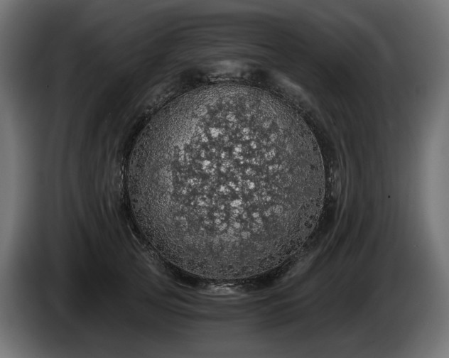 X0000084530753200703021420