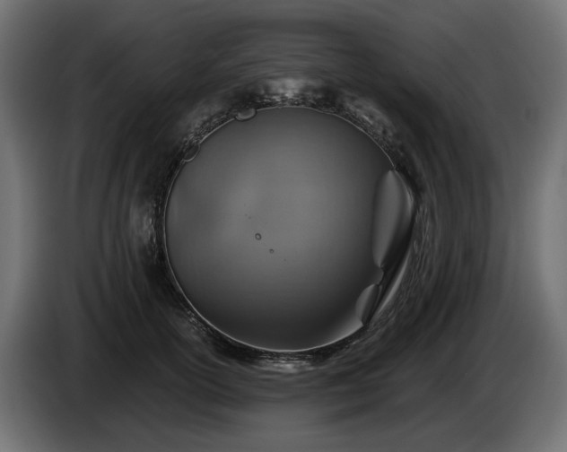 X0000084530754200703021420