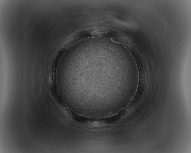 X0000084530755200703021420