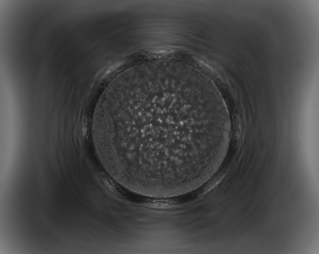 X0000084530758200703021420