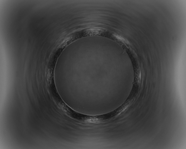 X0000084530759200703021420