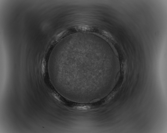 X0000084530760200703021420