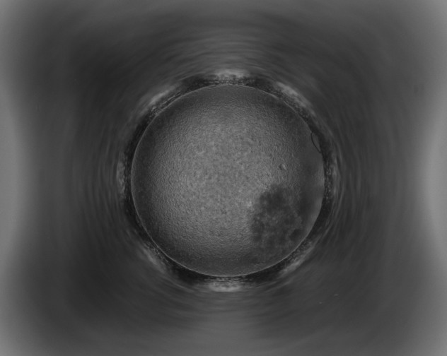 X0000084530762200703021420