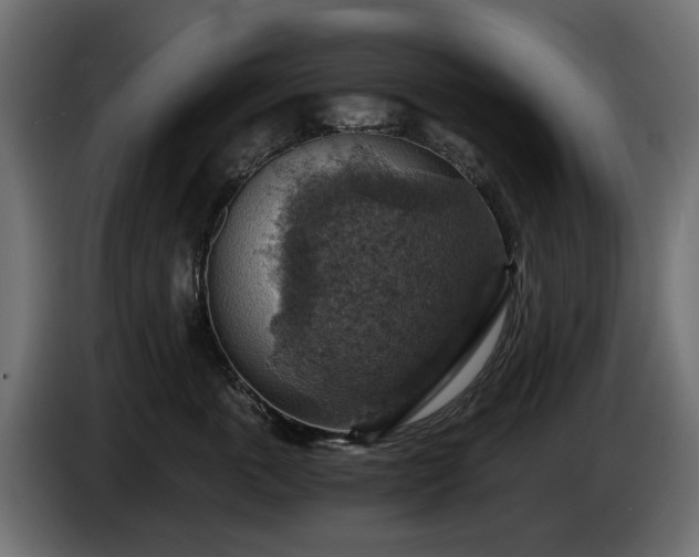 X0000084530763200703021420