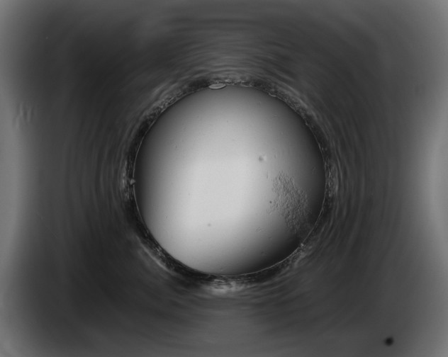 X0000084530764200703021420