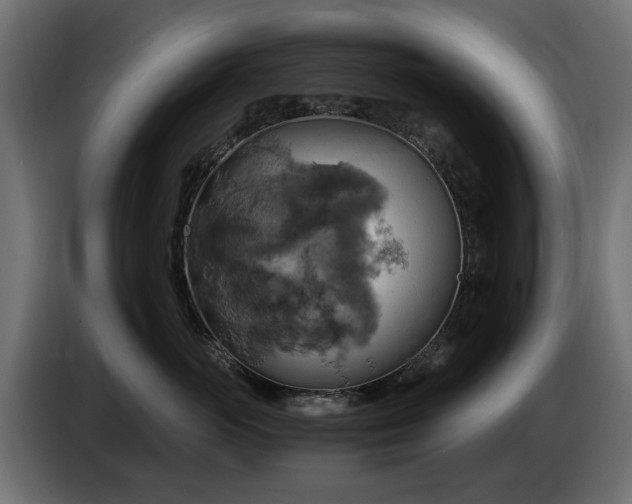 X0000084530765200703021420