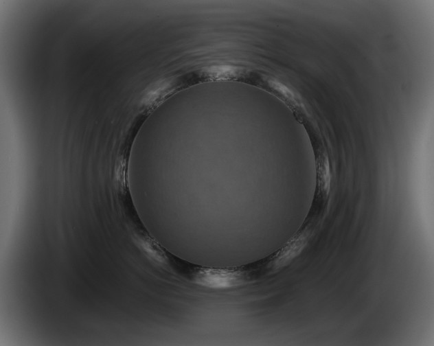 X0000084530766200703021420