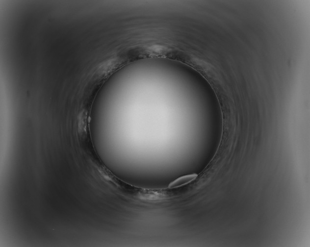 X0000084530768200703021420