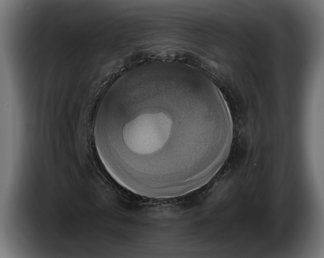 X0000084530769200703021420