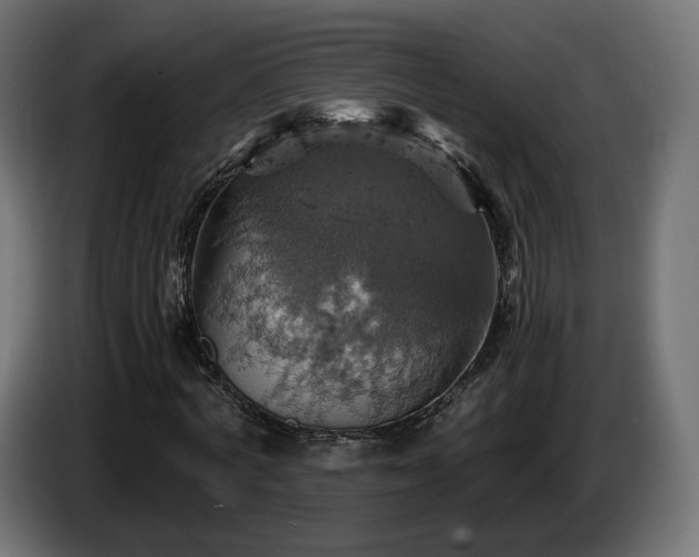 X0000084530772200703021420