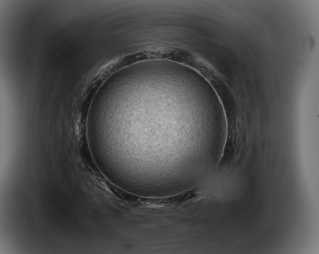 X0000084530773200703021419