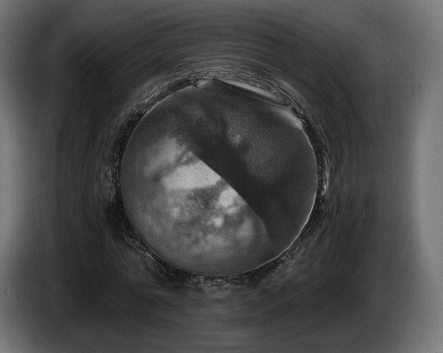 X0000084530774200703021419
