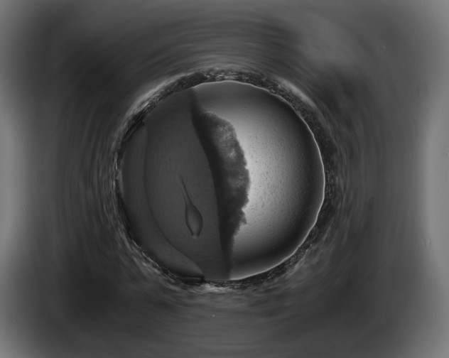 X0000084530775200703021419