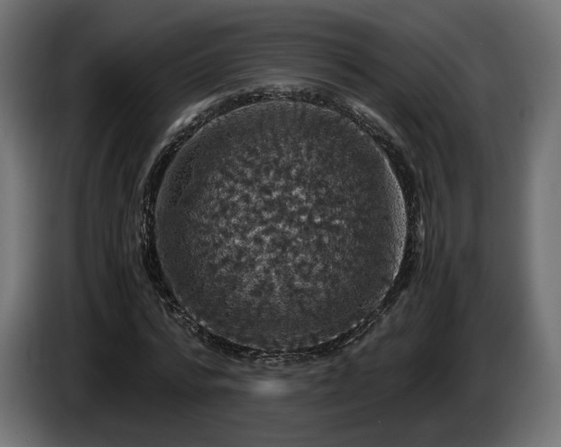 X0000084530776200703021419