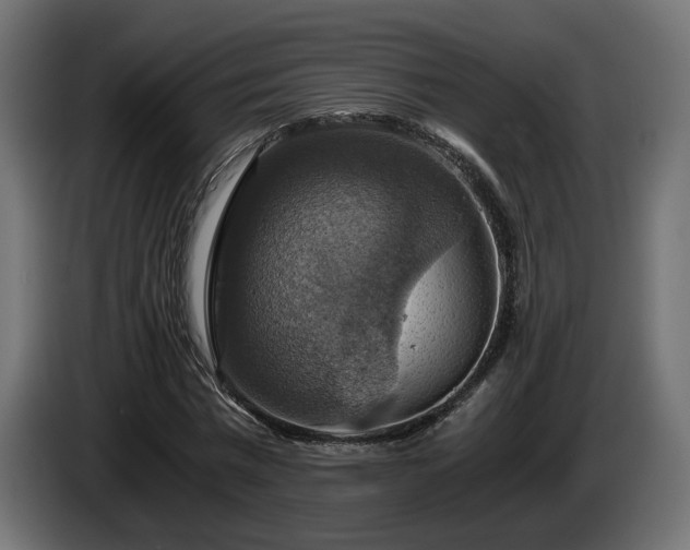X0000084530777200703021419