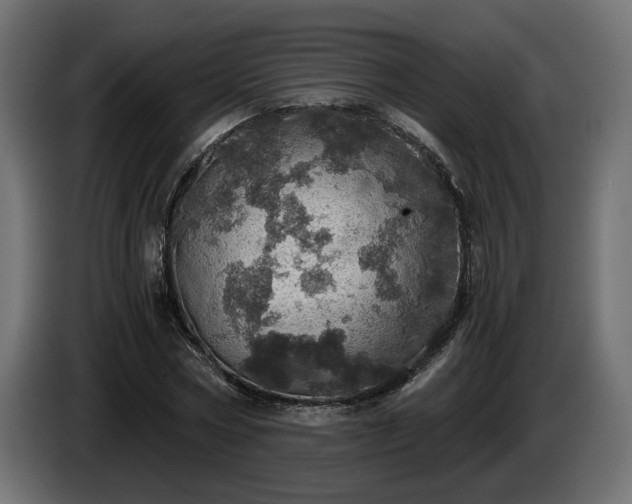 X0000084530778200703021419