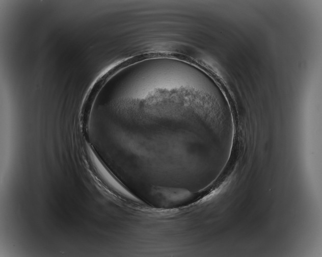 X0000084530779200703021419