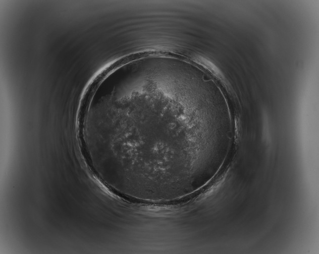 X0000084530780200703021419