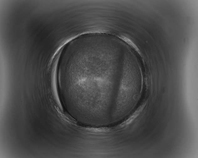 X0000084530781200703021419