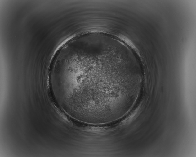 X0000084530782200703021419