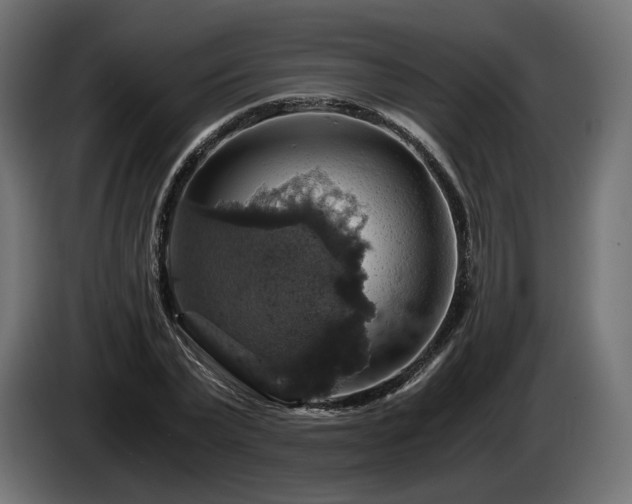 X0000084530783200703021419