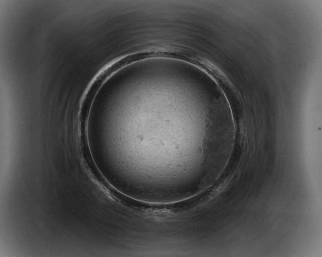 X0000084530784200703021419