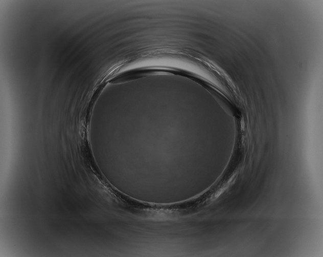 X0000084530785200703021419