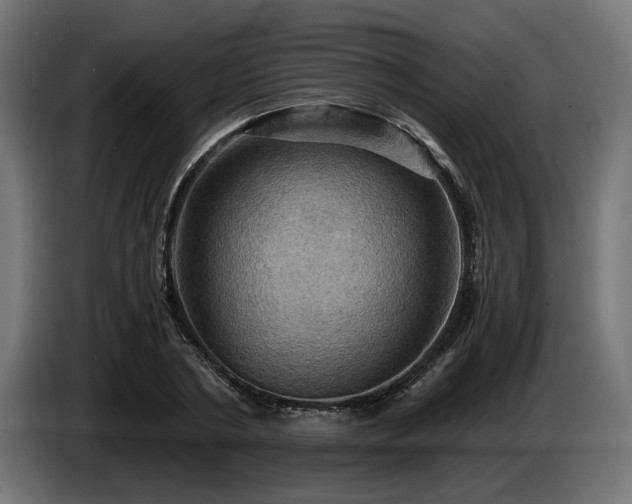 X0000084530786200703021419
