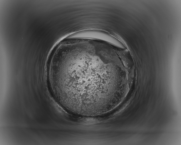 X0000084530787200703021419