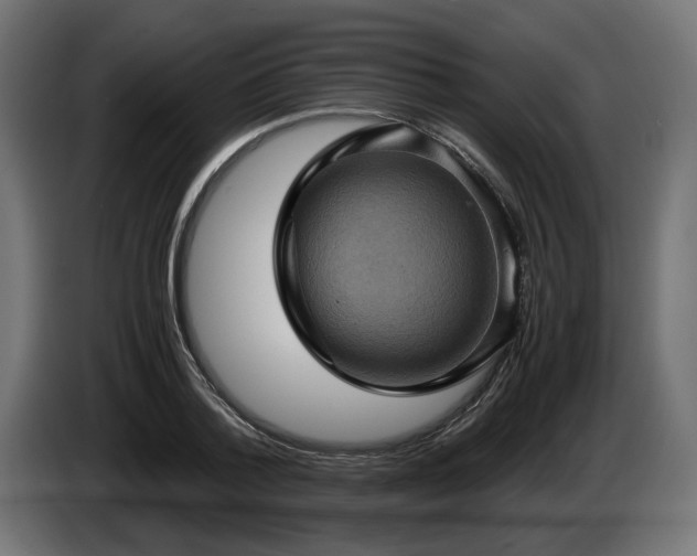 X0000084530788200703021419