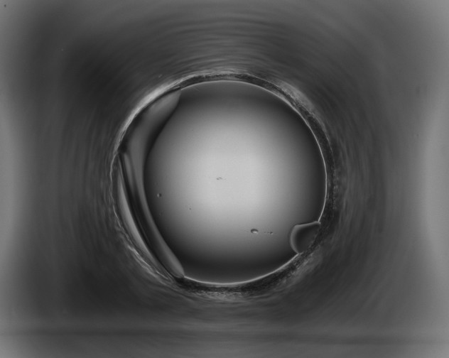 X0000084530789200703021419