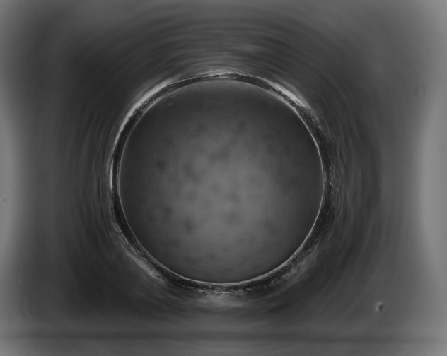 X0000084530790200703021419