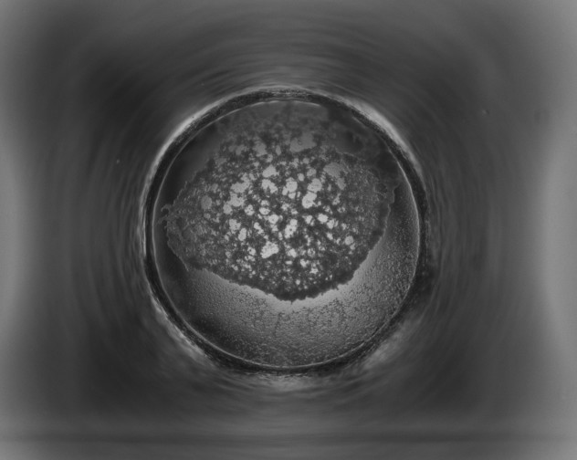 X0000084530791200703021419