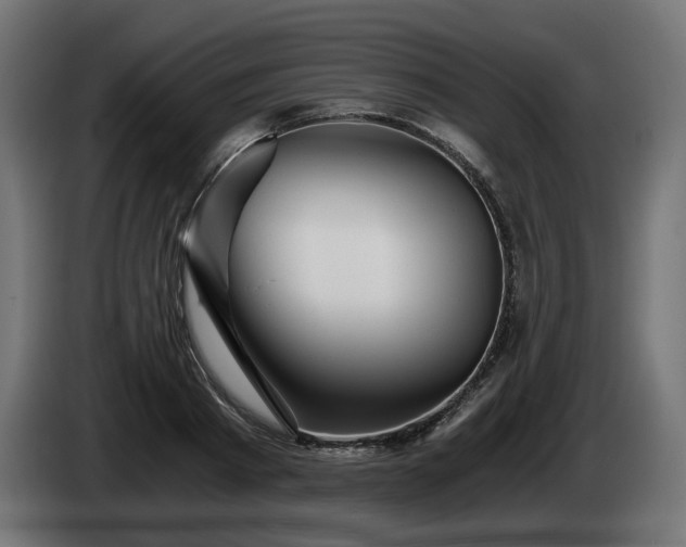 X0000084530793200703021419