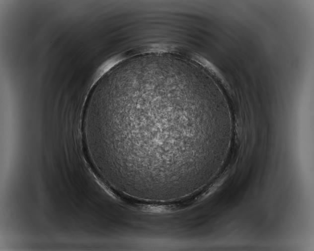 X0000084530794200703021419
