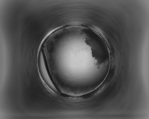X0000084530795200703021419