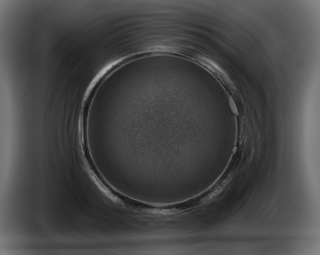 X0000084530796200703021419
