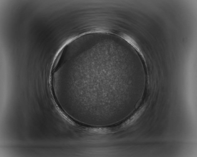 X0000084530797200703021419