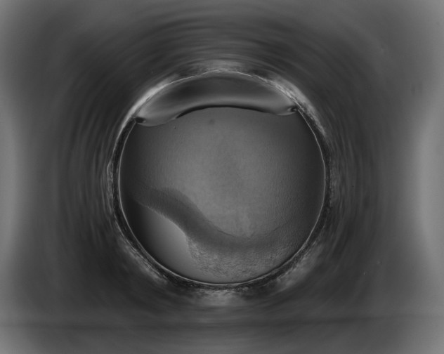 X0000084530798200703021419