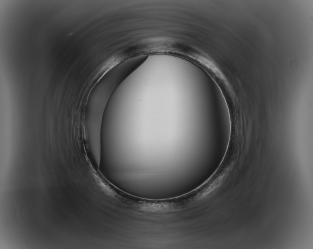 X0000084530801200703021419
