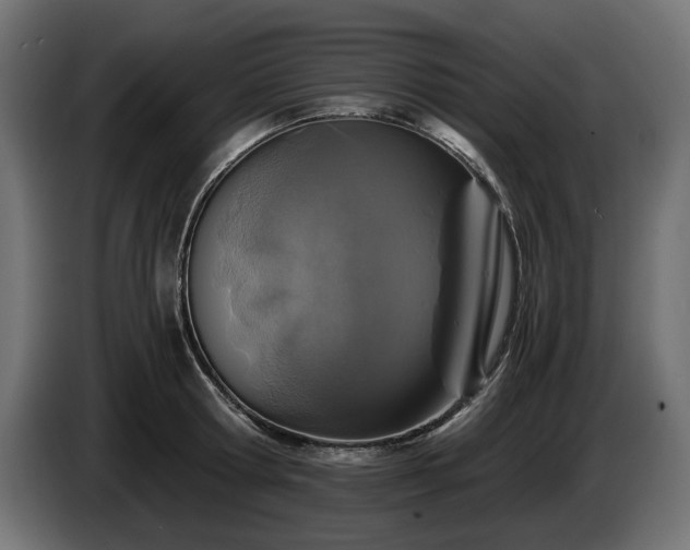 X0000084530802200703021419