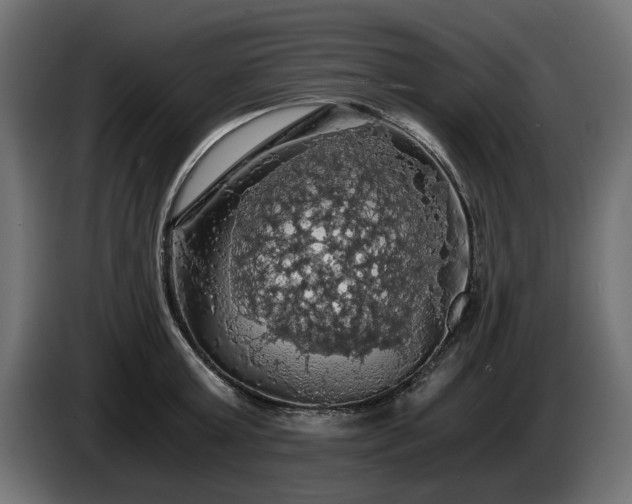 X0000084530803200703021419