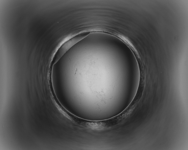X0000084530805200703021419