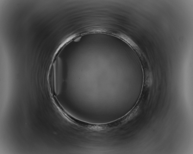 X0000084530806200703021419