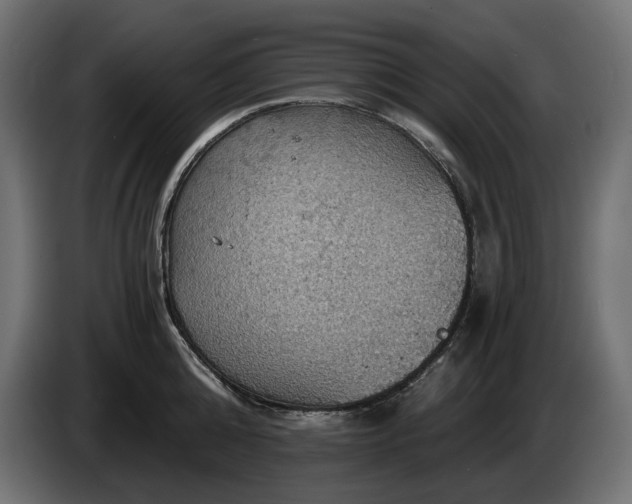 X0000084530808200703021419